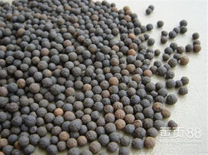 生物陶粒濾料報(bào)價(jià) 廠家